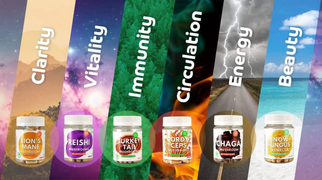 mushrooms in vegan capsules