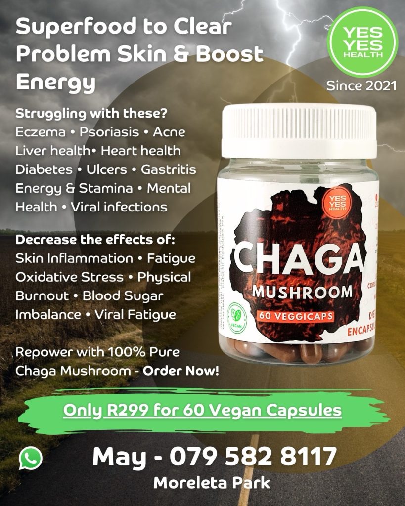 Chaga mushroom